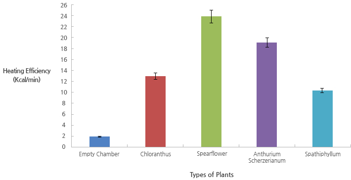 Chlorophyll Contents of Garden Croton and Spearflower